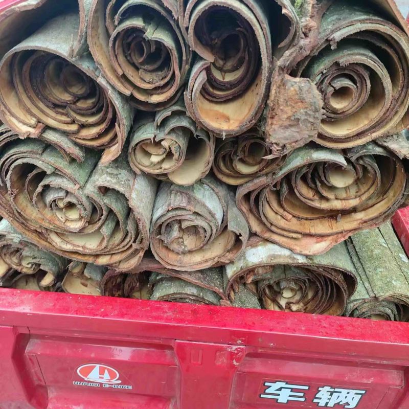 出售鲜厚扑，各种干货厚扑，精品厚扑量大丛优