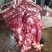 现宰鲜驴肉