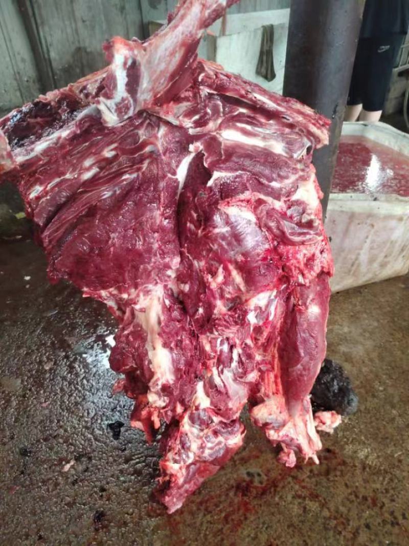现宰鲜驴肉