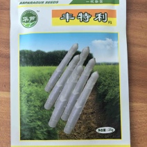 白芦笋杂交品种，口感好，颜色洁白，产量高