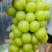 🍇阳光玫瑰葡萄产地直发一手货源全国可发货