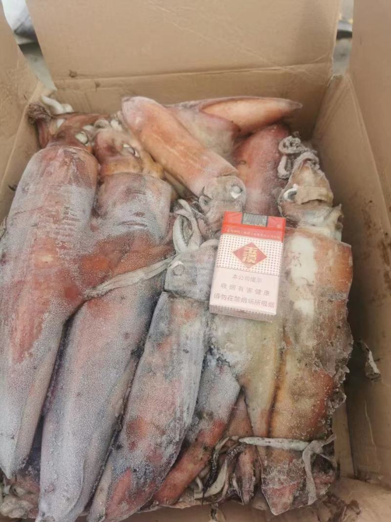 红鱿鱼的肉质嫩滑且有弹性，口感浓郁，味道鲜美。欢迎进店选