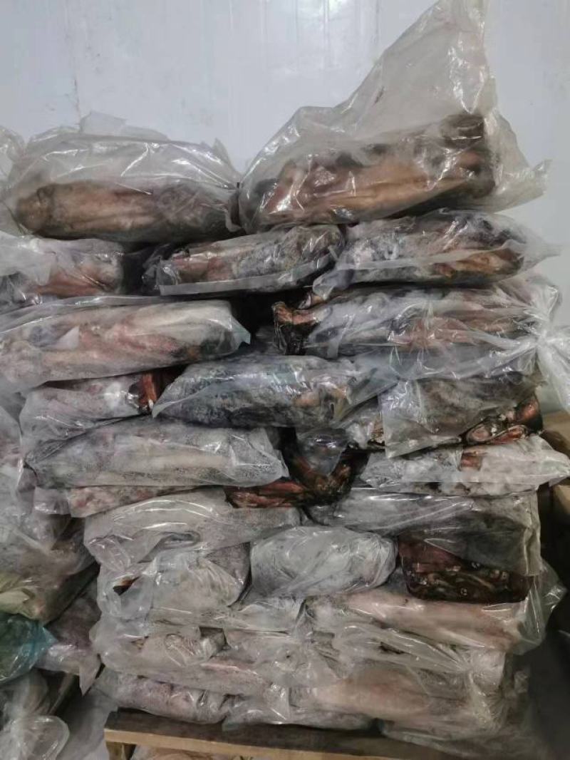 红鱿鱼的肉质嫩滑且有弹性，口感浓郁，味道鲜美。欢迎进店选