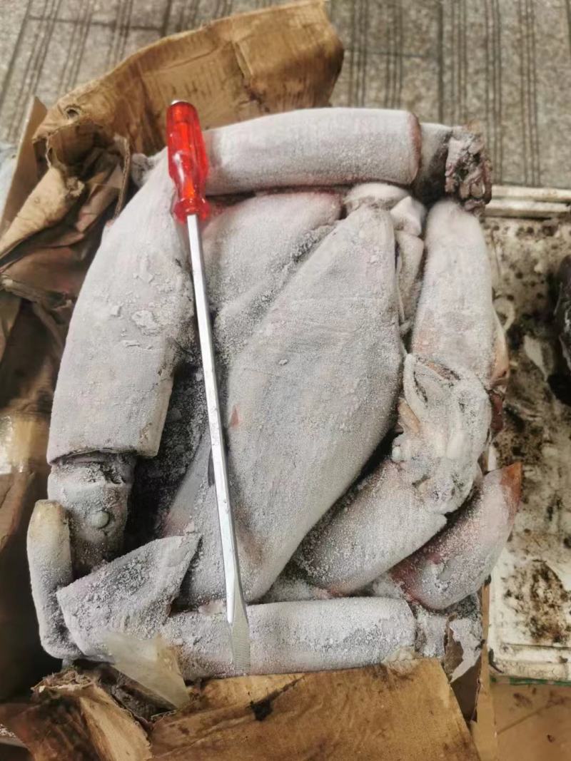 红鱿鱼的肉质嫩滑且有弹性，口感浓郁，味道鲜美。欢迎进店选