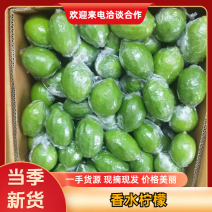 广东一手货源精品香水柠檬大量上市质量保证欢迎咨询！
