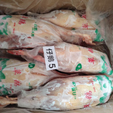 白条鹅
