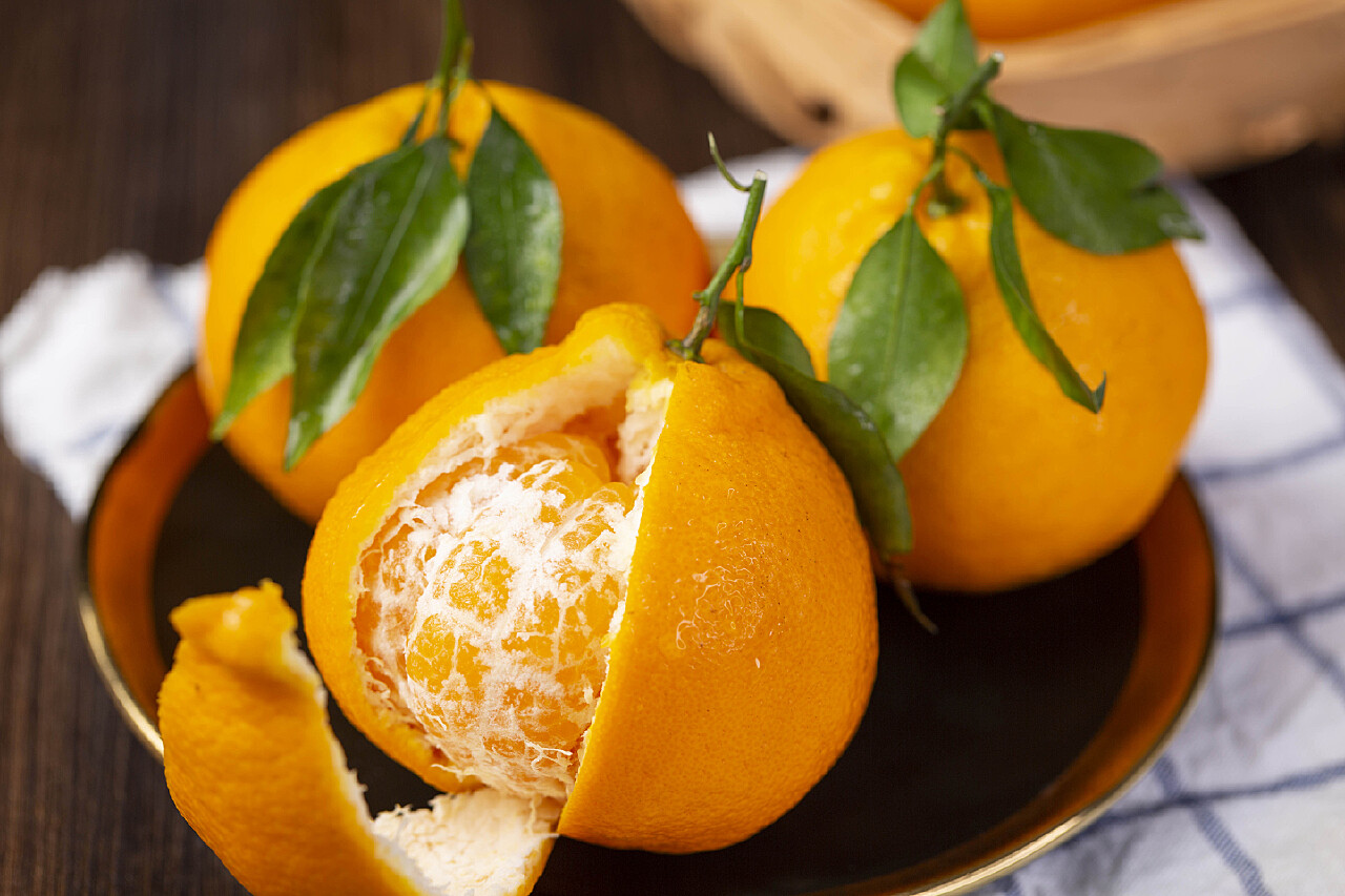 航拍视角下的春见柑桔果园,展示出整齐排列的果树与绿色植被覆盖的丘陵地貌 春见柑桔果园航拍图