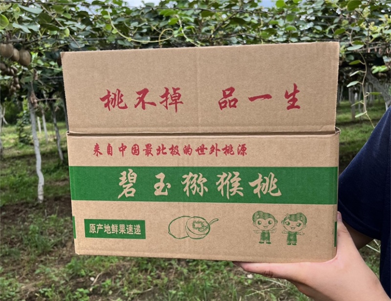 电商一件代发必须猕猴桃各种包装类型