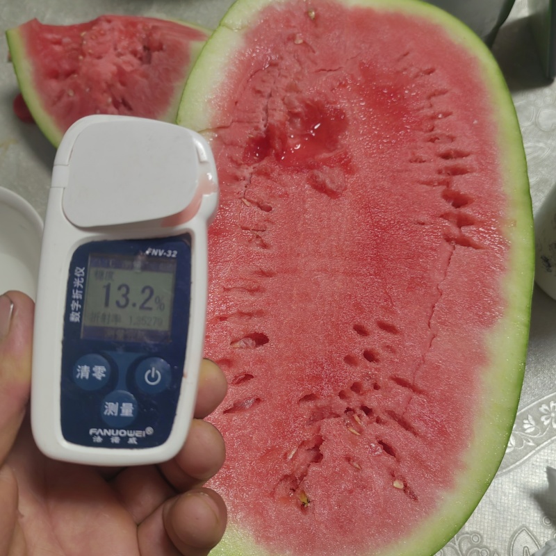宁夏硒砂瓜皮薄多汁甜度高产地直发品质保障欢迎联系