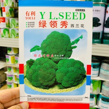 有利西蓝花菜种子绿领秀西兰花种子中熟颜色鲜绿苗场农家菜园