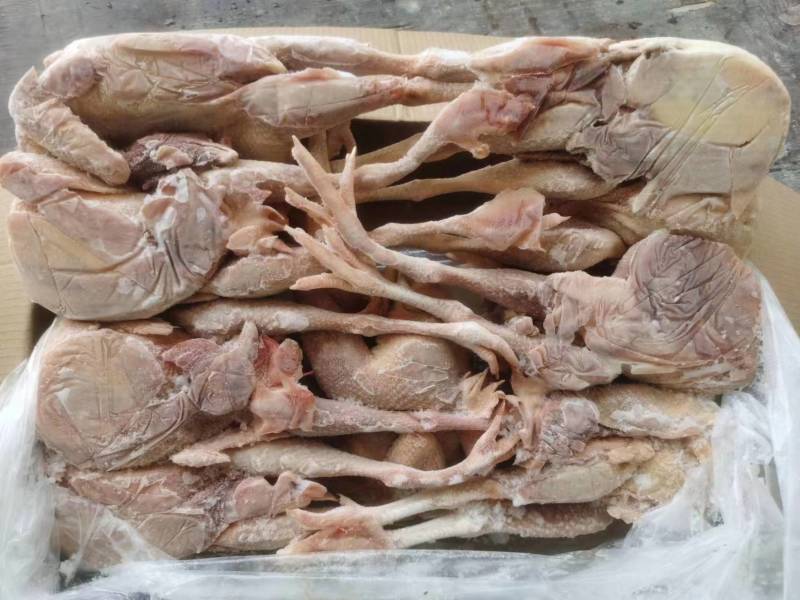 二级三黄鸡厂家直发质量好价格低长期生产质量稳定
