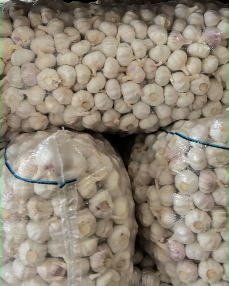 邳州净蒜产地直发物优价廉量大从优各个等级都有！