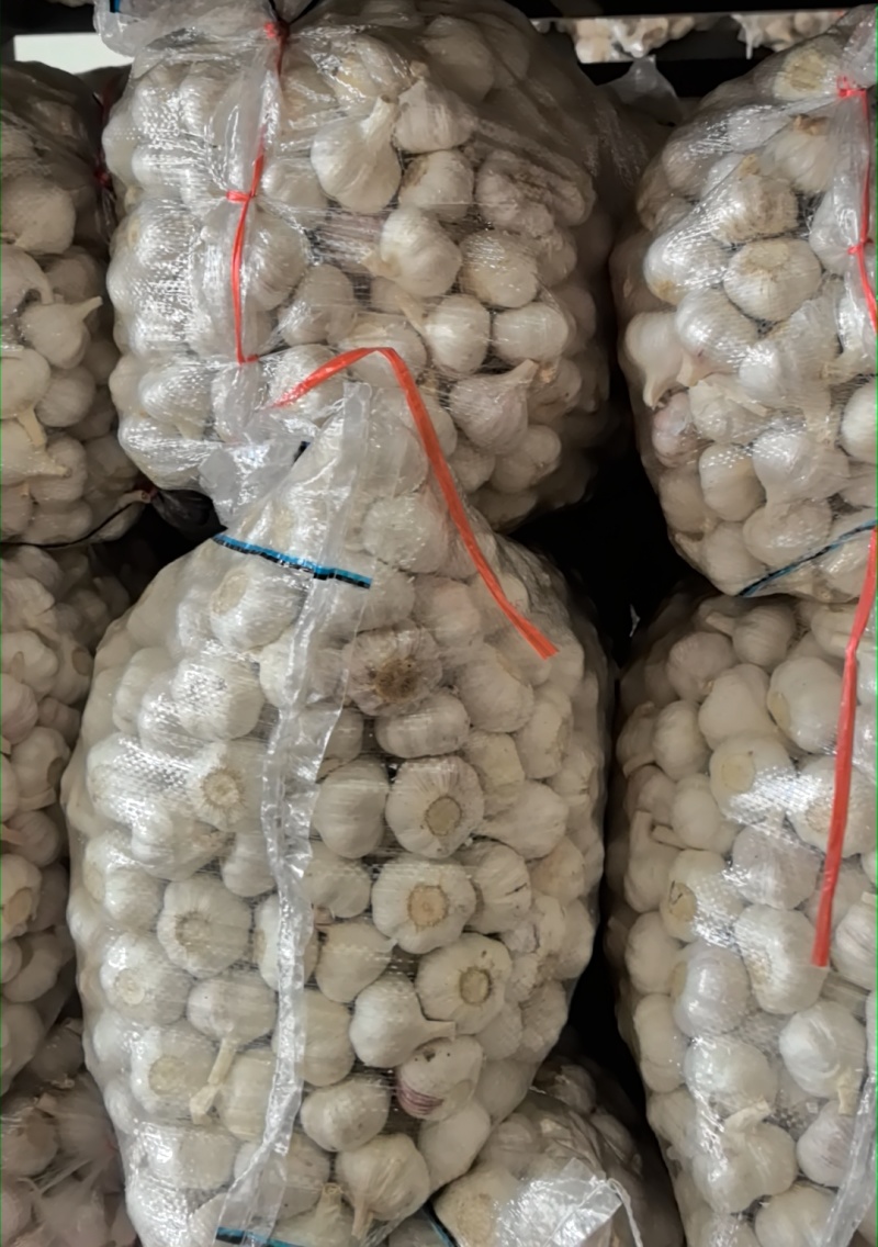 邳州净蒜产地直发物优价廉量大从优各个等级都有！