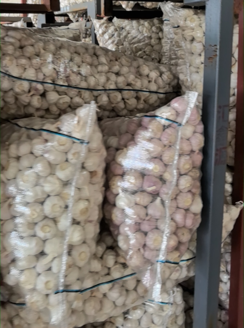 邳州净蒜产地直发物优价廉量大从优各个等级都有！