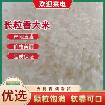 东北长粒香大米颗颗饱满粒粒香原产地直发大量供应