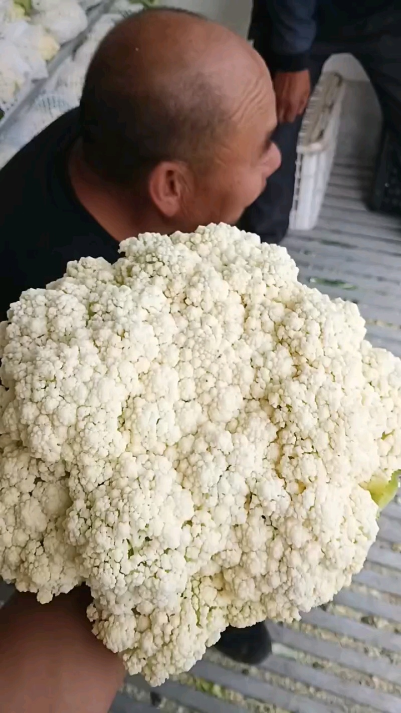 80散花大量上市