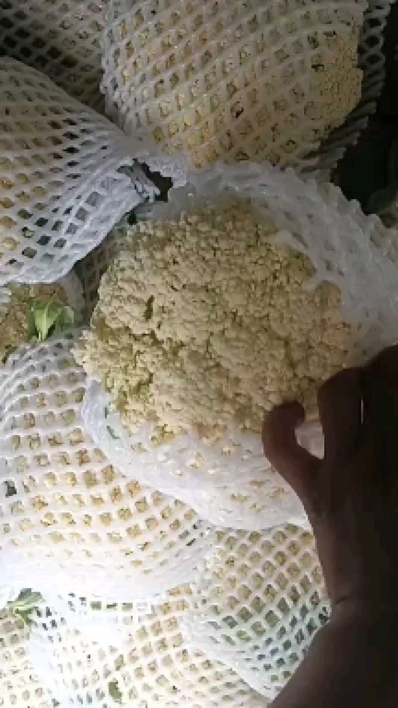 80散花大量上市