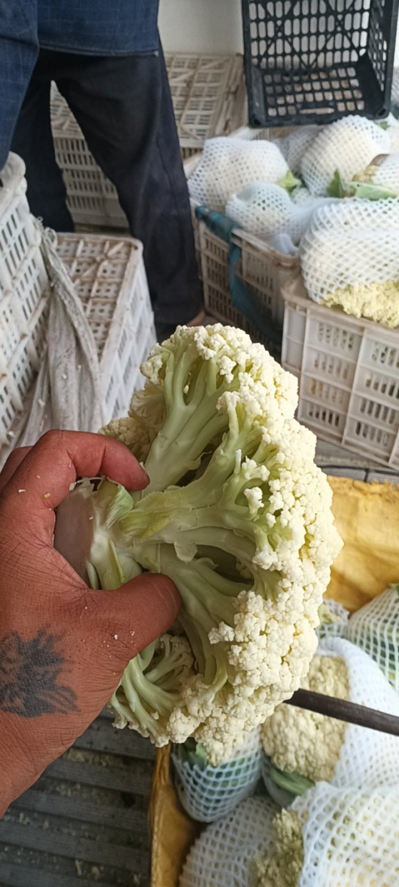 80散花大量上市