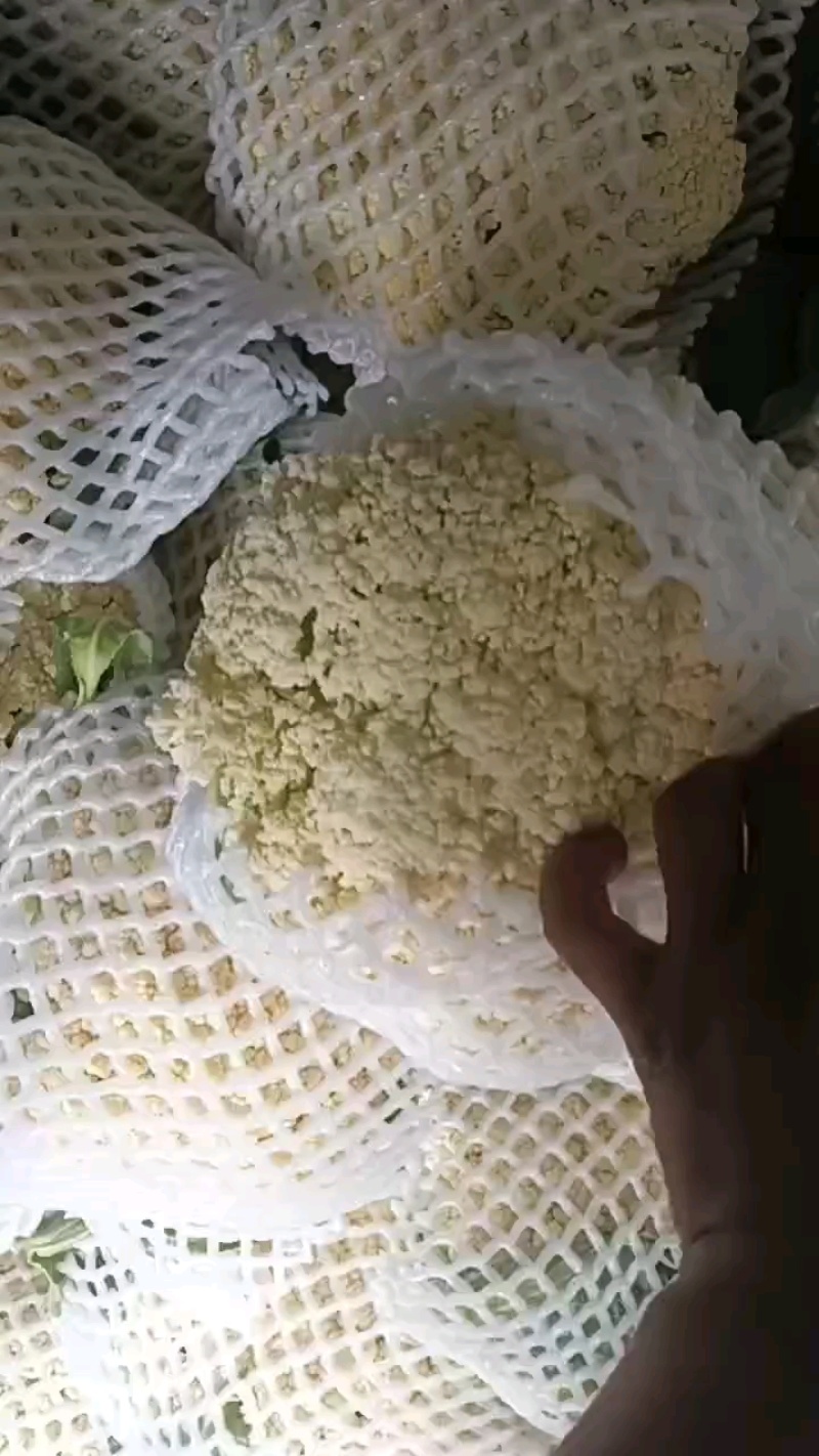 80散花大量上市
