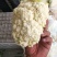 80散花大量上市