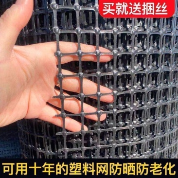 养鸡鸭塑料围栏网养殖网果园菜园圈地鱼塘防护网格网玉米网栅