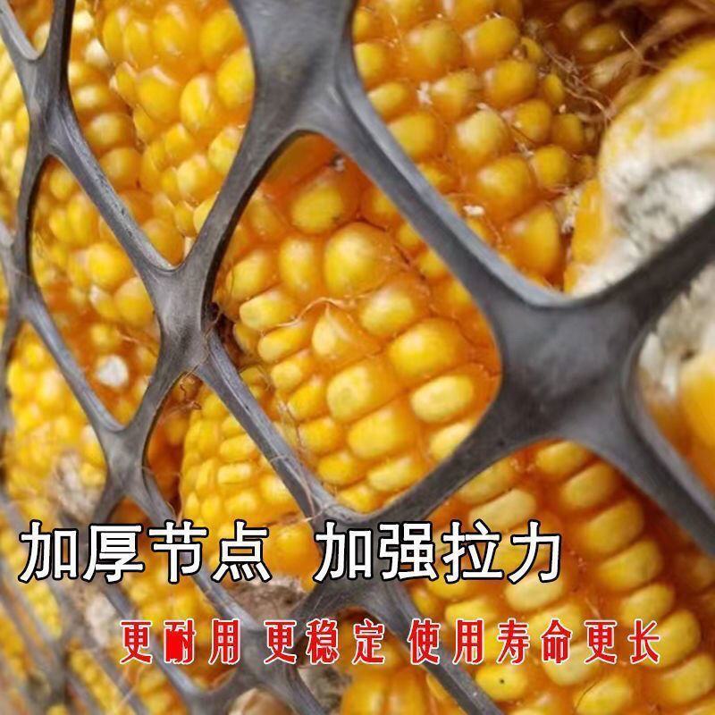 养鸡鸭塑料围栏网养殖网果园菜园圈地鱼塘防护网格网玉米网栅