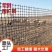 养鸡鸭塑料围栏网养殖网果园菜园圈地鱼塘防护网格网玉米网栅