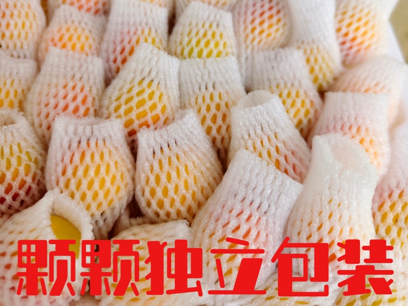 新疆阿克苏吊干杏大量接单品质保证欢迎来电咨询