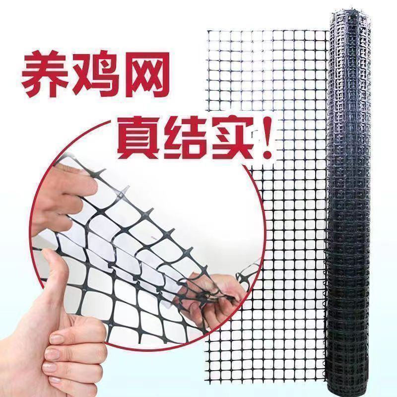 加厚养鸡鸭围栏网塑料网养殖网胶网果园圈地菜园防护网玉米网