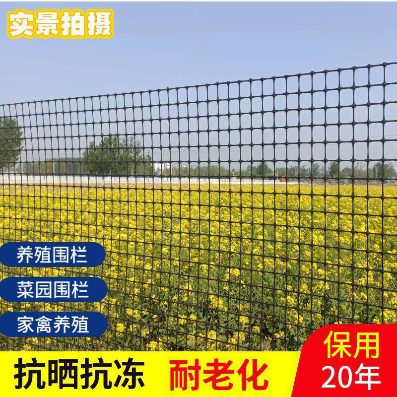 加厚养鸡鸭围栏网塑料网养殖网胶网果园圈地菜园防护网玉米网