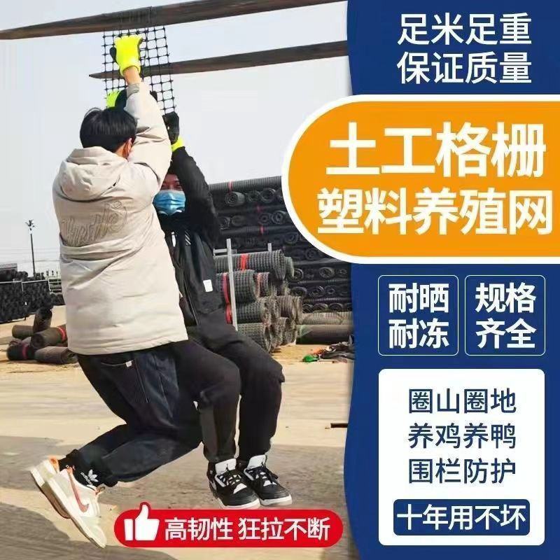 加厚养鸡鸭围栏网塑料网养殖网胶网果园圈地菜园防护网玉米网