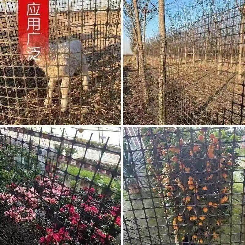 加厚养鸡鸭围栏网塑料网养殖网胶网果园圈地菜园防护网玉米网