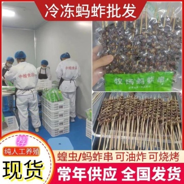蚂蚱串/蝗虫串，可油炸/可烧烤，纯人工养殖/可常年供应