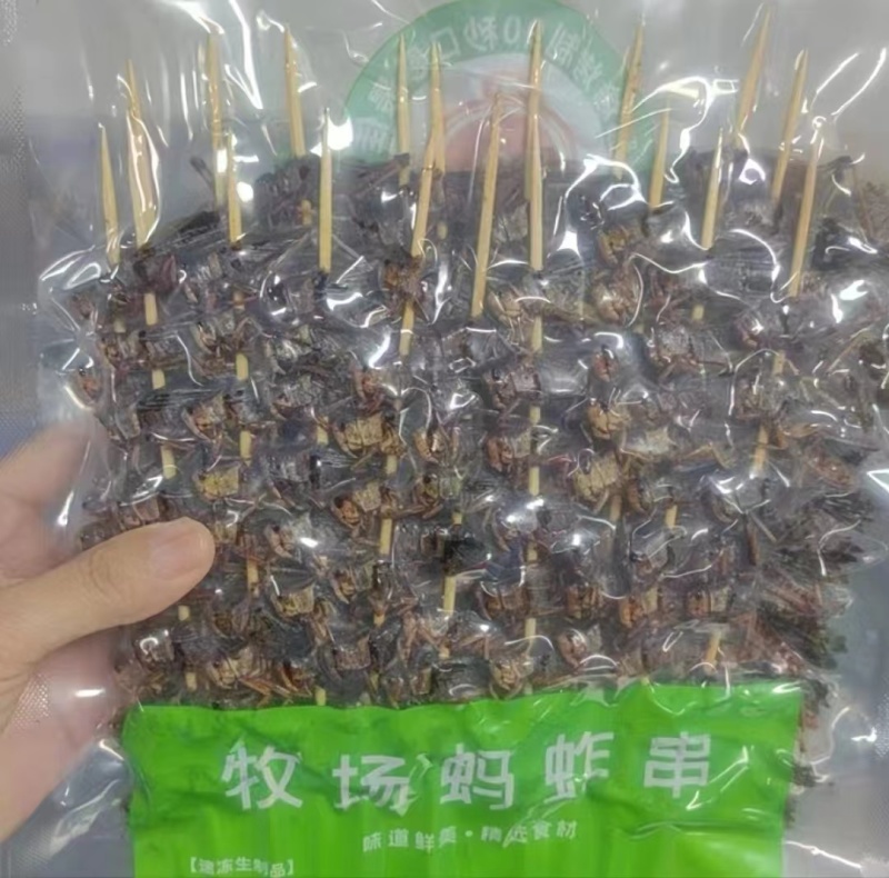 蚂蚱串/蝗虫串，可油炸/可烧烤，纯人工养殖/可常年供应