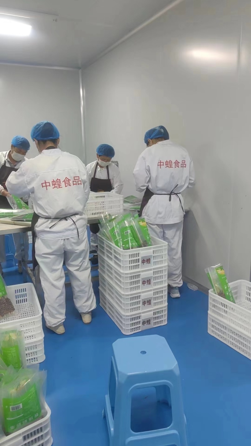 蚂蚱串/蝗虫串，可油炸/可烧烤，纯人工养殖/可常年供应