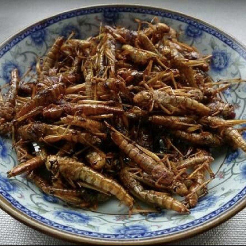蚂蚱串/蝗虫串，可油炸/可烧烤，纯人工养殖/可常年供应