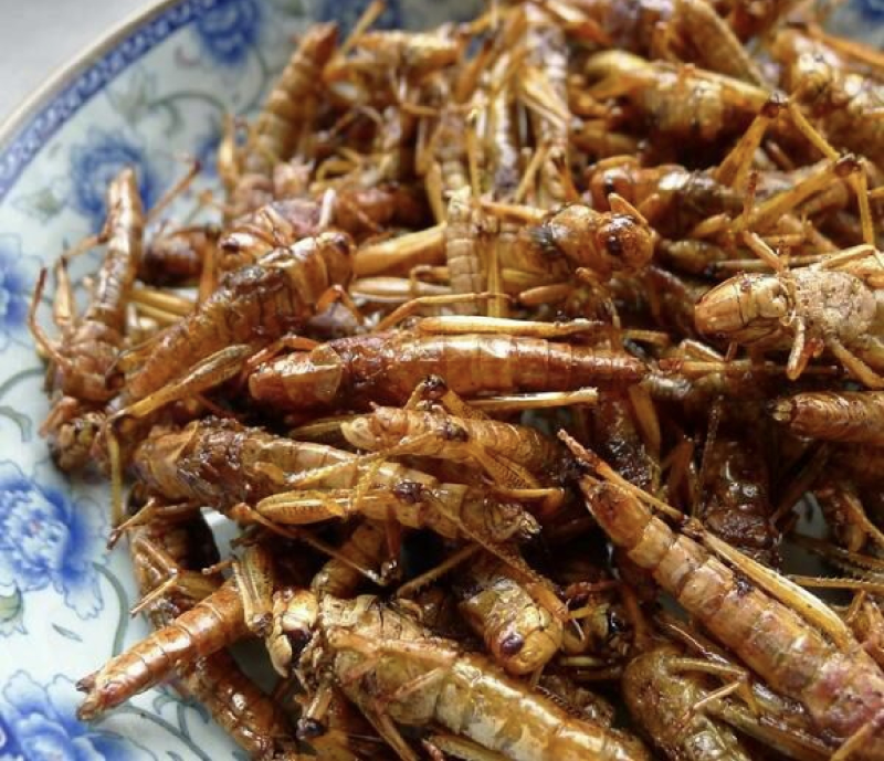 蚂蚱串/蝗虫串，可油炸/可烧烤，纯人工养殖/可常年供应