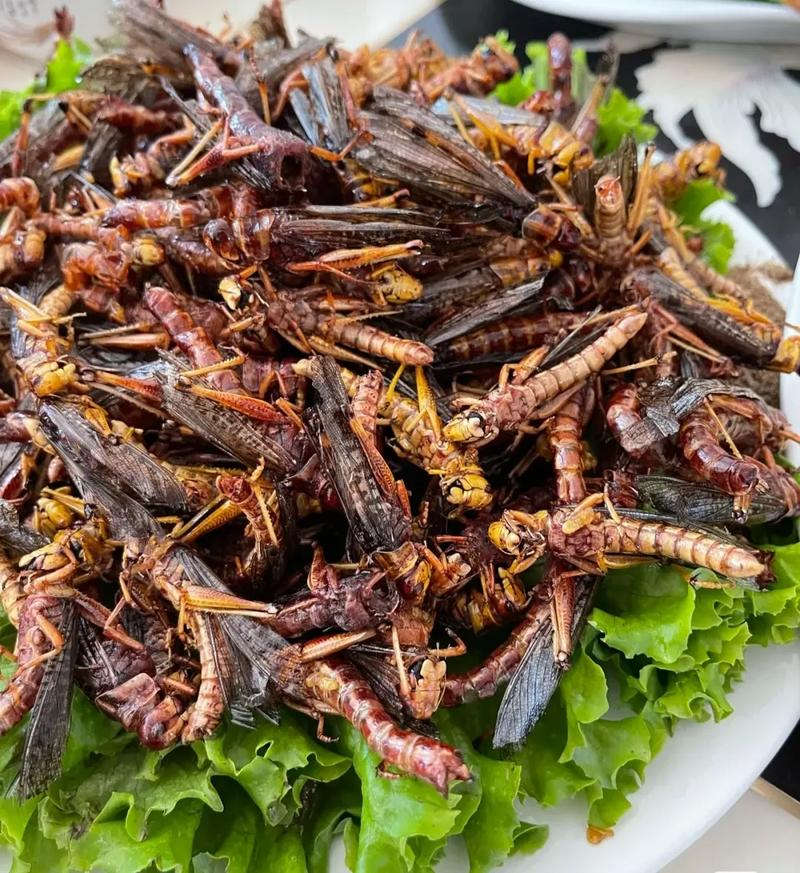 蚂蚱串/蝗虫串，可油炸/可烧烤，纯人工养殖/可常年供应