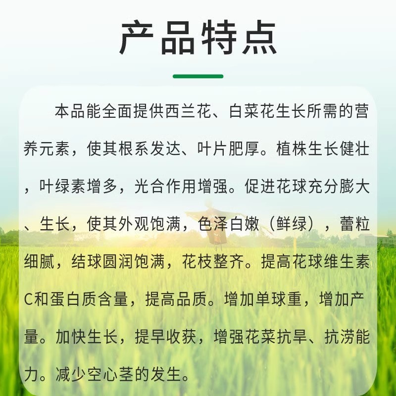 花菜增白剂膨大剂雪白增白增嫩防散防裂促进生根壮苗增产