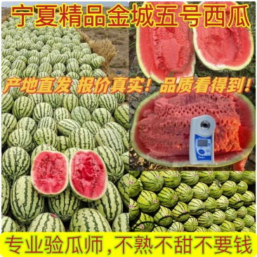【地头直发】宁夏中卫硒砂瓜石头瓜电商商超欢迎来电咨询