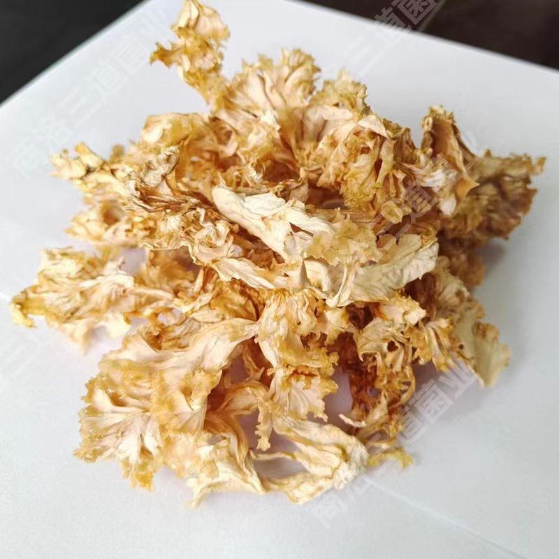 今年新货绣球菌干货（大碎）产地直供品质保证