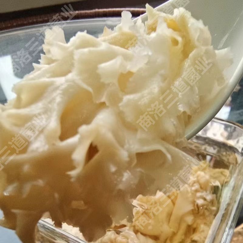 今年新货绣球菌干货（大碎）产地直供品质保证