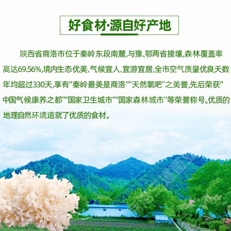 今年新货绣球菌干货（大碎）产地直供品质保证