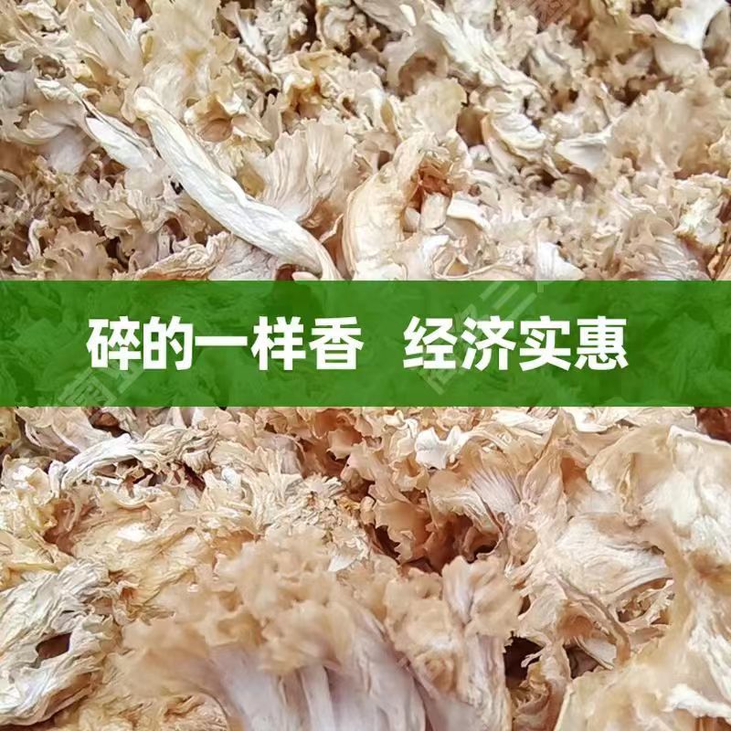 今年新货绣球菌干货（大碎）产地直供品质保证