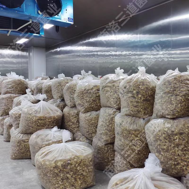 今年新货绣球菌干货（大碎）产地直供品质保证
