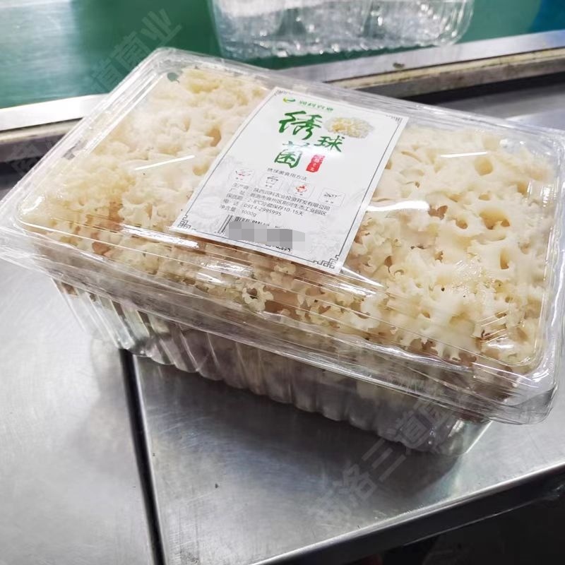 陕西商洛绣球菌鲜货新鲜现货产地一手货源品质保证