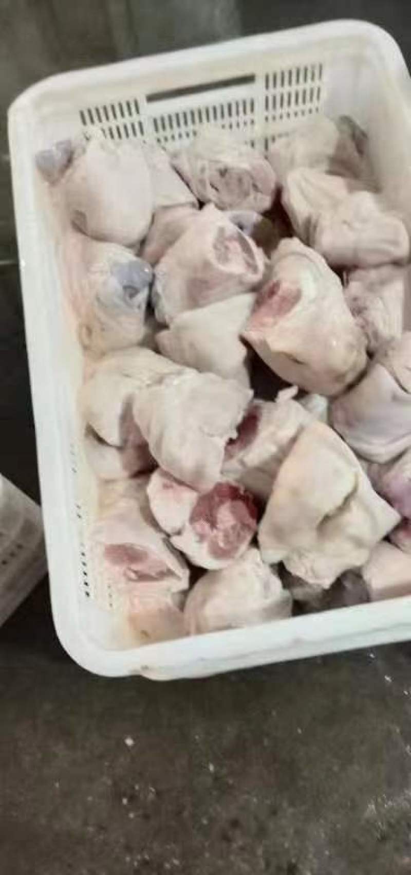 肥猪大脚圈