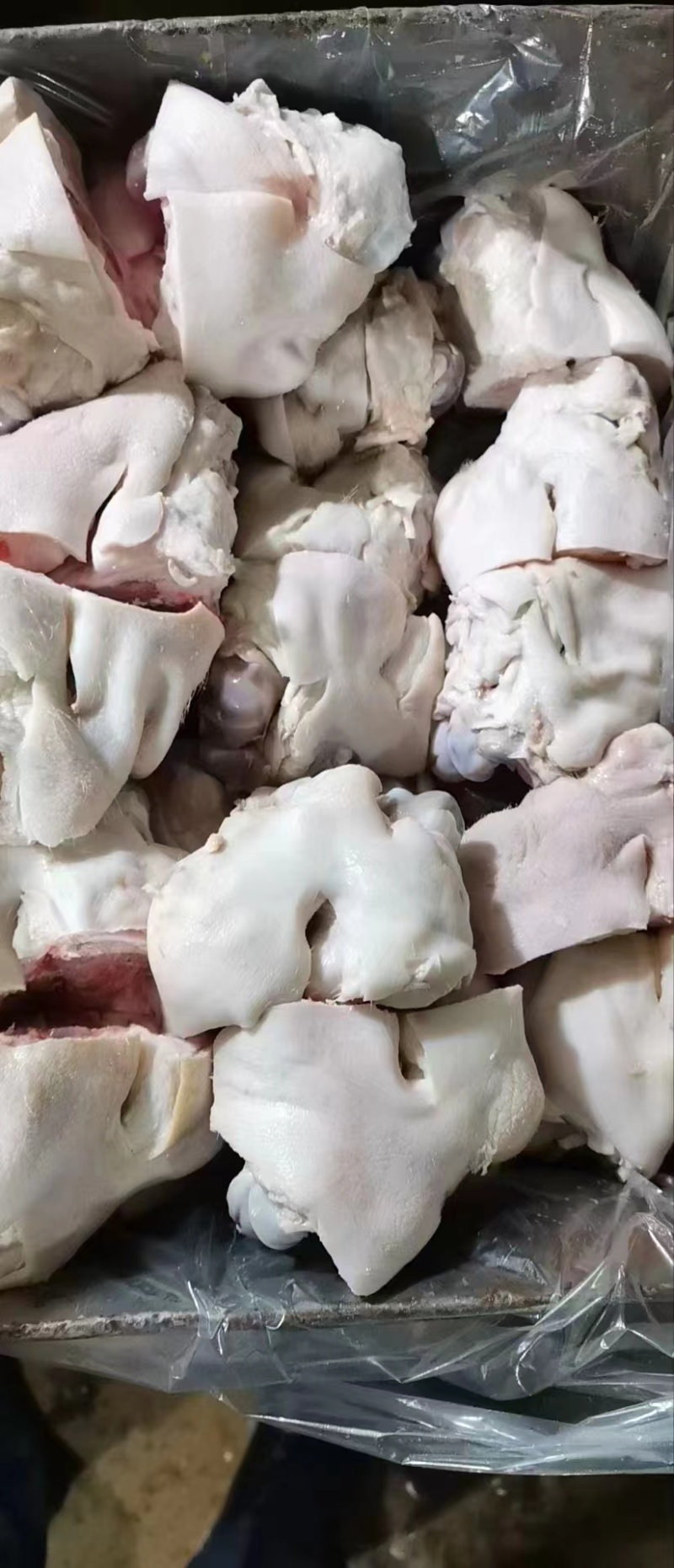 肥猪大脚圈