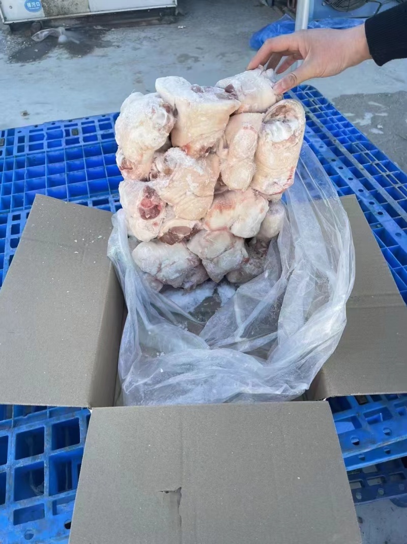 肥猪大脚圈