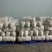 陕北精品白萝卜大量上市
